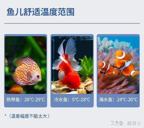 科技鱼图片